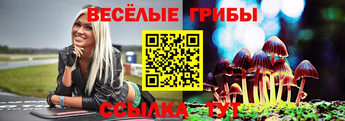 Галлюциногенные грибы ЛСД Саров