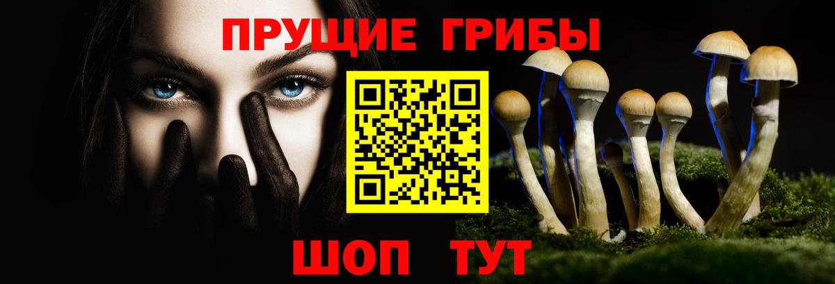 Саров  Галлюциногенные грибы GOLDEN TEACHER  Вход с VPN 