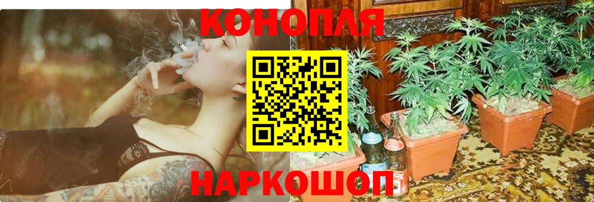 Бошки марихуана марихуана  Вход с VPN  Каннабис OG Kush  Конопля семена  Саров 